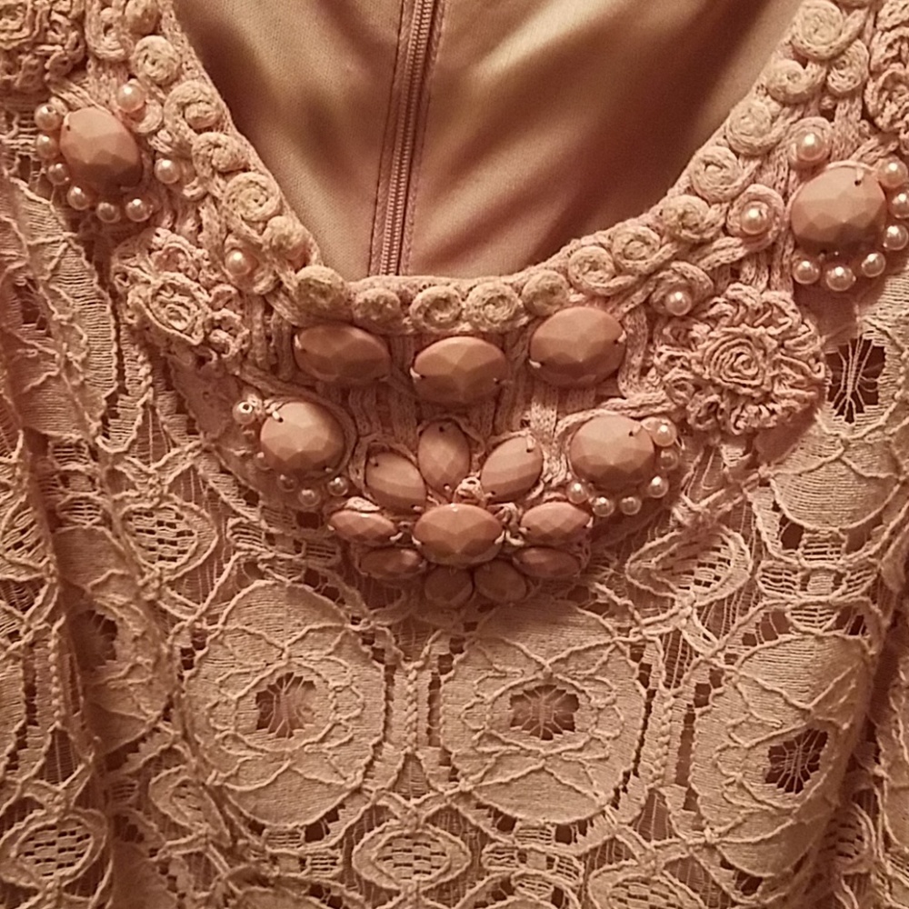Ronnie Nicole / Sheath Dress - Lace Size 10 - Picture 8 of 8